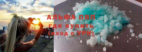 прущие грибы Медвежьегорск