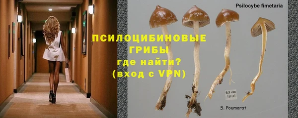 МДПВ Мегион