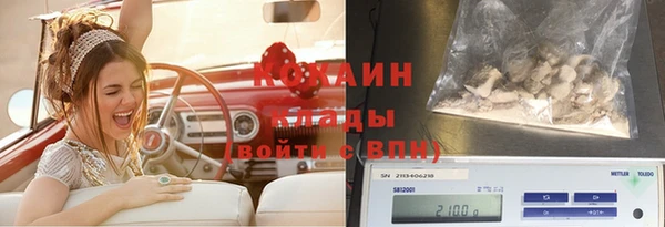 хмурый Анива