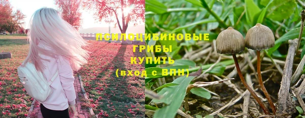 jwh Михайловск