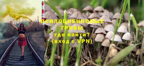 прущие грибы Медвежьегорск