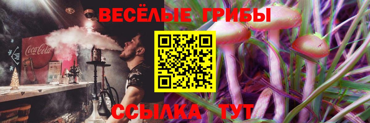 Галлюциногенные грибы ЛСД Муравленко