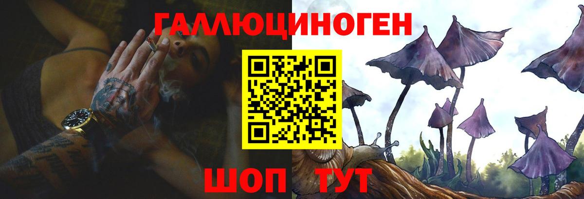 Псилоцибиновые грибы GOLDEN TEACHER  Вход с VPN  Муравленко 